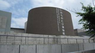 北九州市立いのちのたび博物館