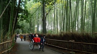 何度来ても・・・