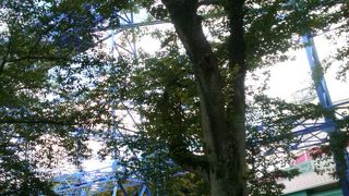 ゆうえんち　良くも悪くも