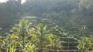 いわゆるただの棚田ですが・・・