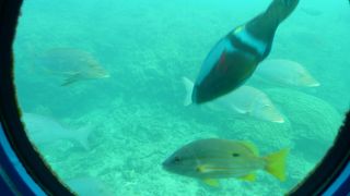 ブセナ岬：いい風景だった