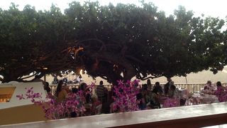 ニューオータニカイマナビーチホテル内