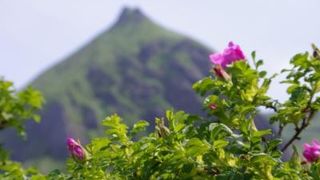 素晴らしかったです！