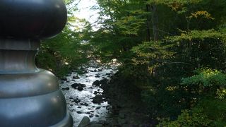 朝の散歩にうってつけ！