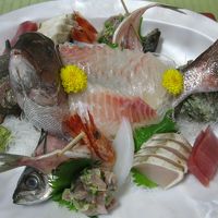 熱川温泉 たかみホテル By ひなさん 絶景と露天風呂の宿 たかみホテルのクチコミ フォートラベル 熱川温泉 北川温泉