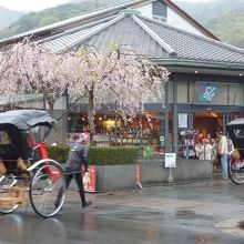 人力車で嵐山観光