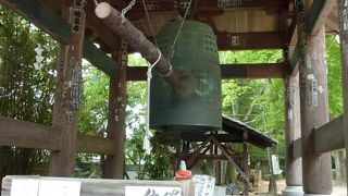 色々いいもの詰め込みました風