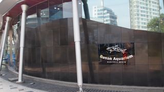 韓国最大の水族館