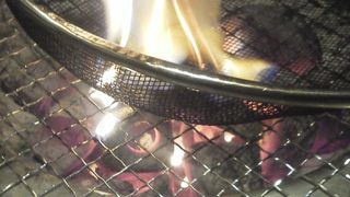 鶏　鶏　鶏　とり～