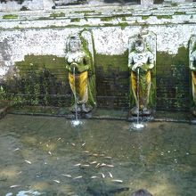 水は気持ち良かった！