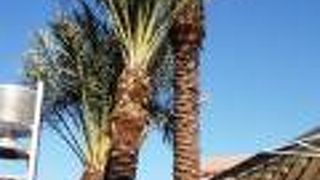 夏のアウトレットは要注意・・・・。