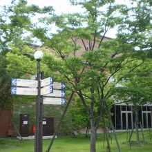 名古屋の都会の中なのに緑がいっぱい。