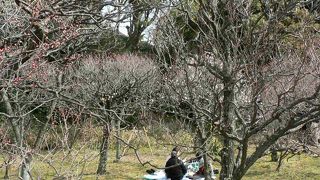 枚方公園駅から北西へ徒歩約10分の意賀美神社（おかみじんじゃ）
