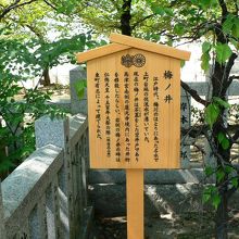 高津神社参道にある梅ノ井の碑の説明