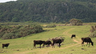 意外な穴場スポット