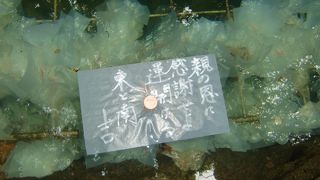 水に浮かべるおみくじ