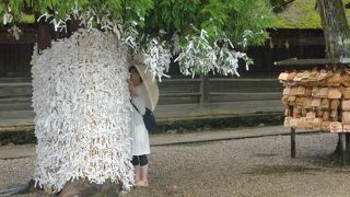 おみくじのかずがすごい！