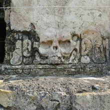 建物の基礎にウサギの頭蓋骨。一体何のための建物なんだろう。