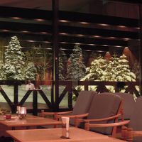 ホテルバーより