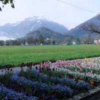 ホテルの目の前の公園からの眺望です。