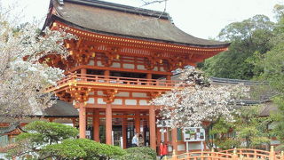 大好きな場所で毎月お参りしています