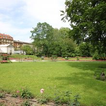 緑ゆたかな公園です