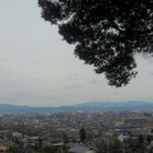 京都市内が一望できます