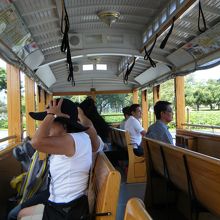 風が気持ちいいが帽子は注意