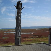 サンゴ草の標識
