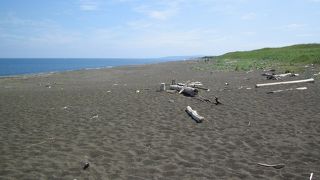 花とオホーツク海が素晴らしい