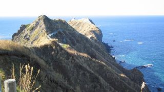 両側に海を見ながら歩く遊歩道