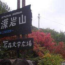 花が咲き乱れる季節はとても美しいです