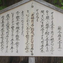 こんな名所もあります