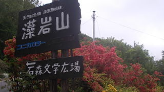 展望台以外にも様々な魅力があります