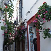 迷路のようなユダヤ人街