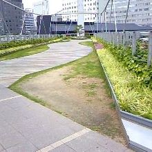 美しくて、うっとり