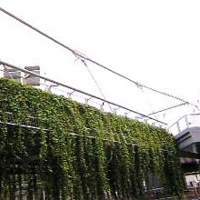 ウッドデッキから眺める浮庭橋も美しい