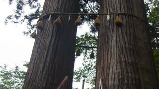 修善寺のパワースポット