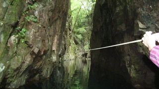 猿はいなかったけど