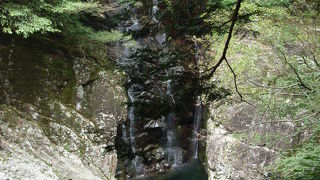 比較的入口近くにあります