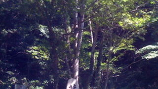 鎖をしっかり握って