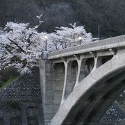 桜橋