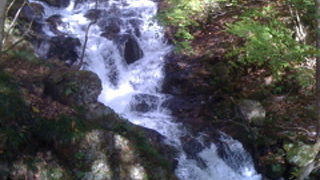 紅葉の時季がお勧め