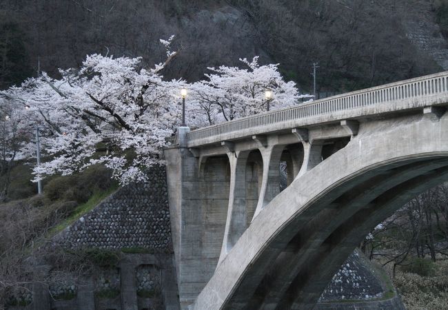 桜橋