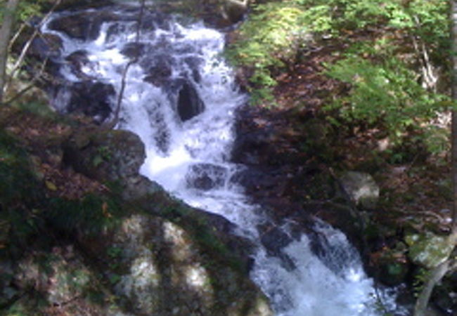 紅葉の時季がお勧め