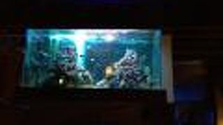 アジアンシーズン 新宿店