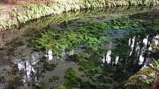 気軽に行ける水源