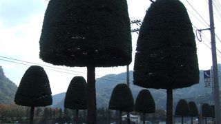 観光に力を入れてます！！