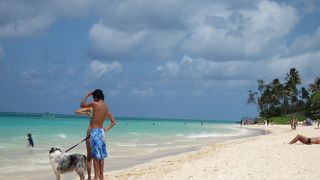 水の色が違います！