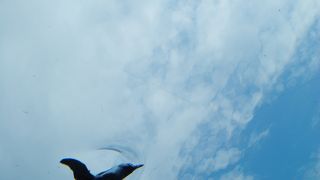 北海道の人気スポット